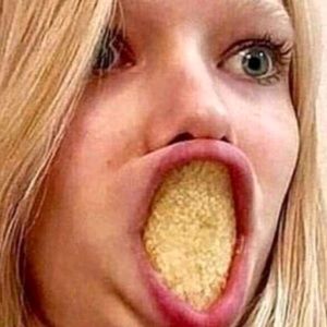 Meet your Posher, Presley